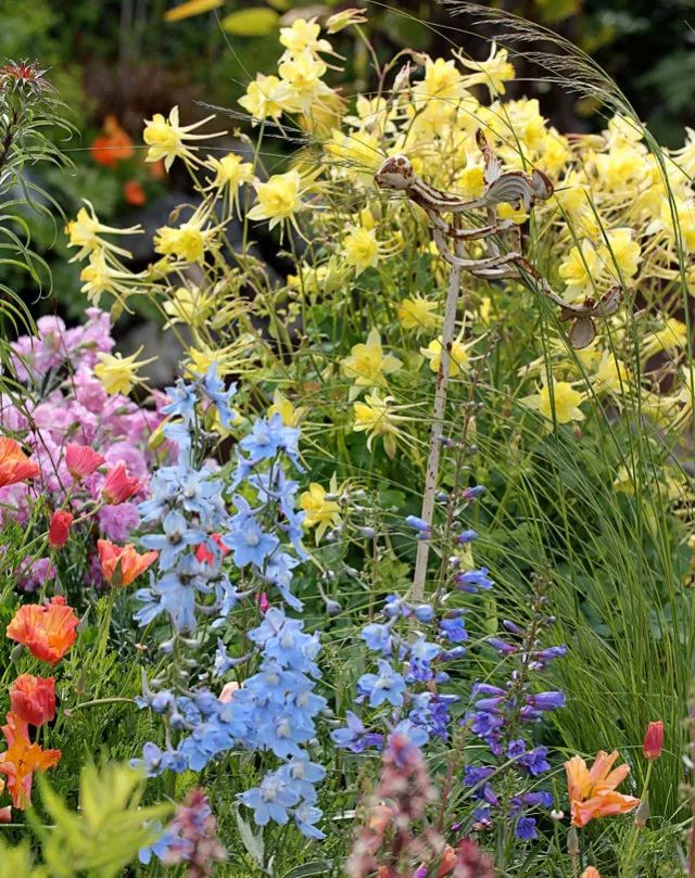 干货分享种植小技巧,混合花境设计与种植建议