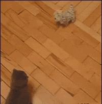 超级搞笑gif图,超好笑gif图