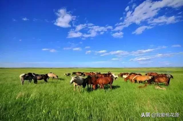 中国各省特产美食一览表 (各省代表性的特产可以送人的)