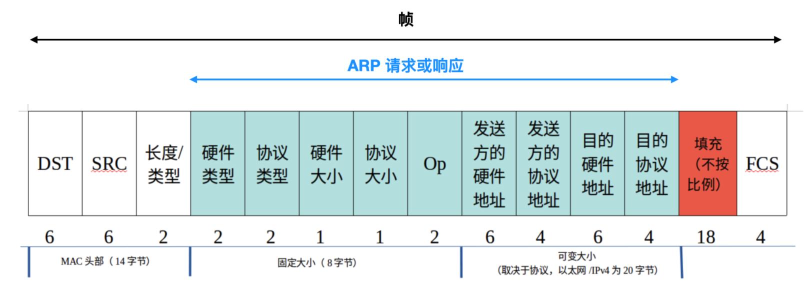 稳了字幕翻译,arp协议详解图解