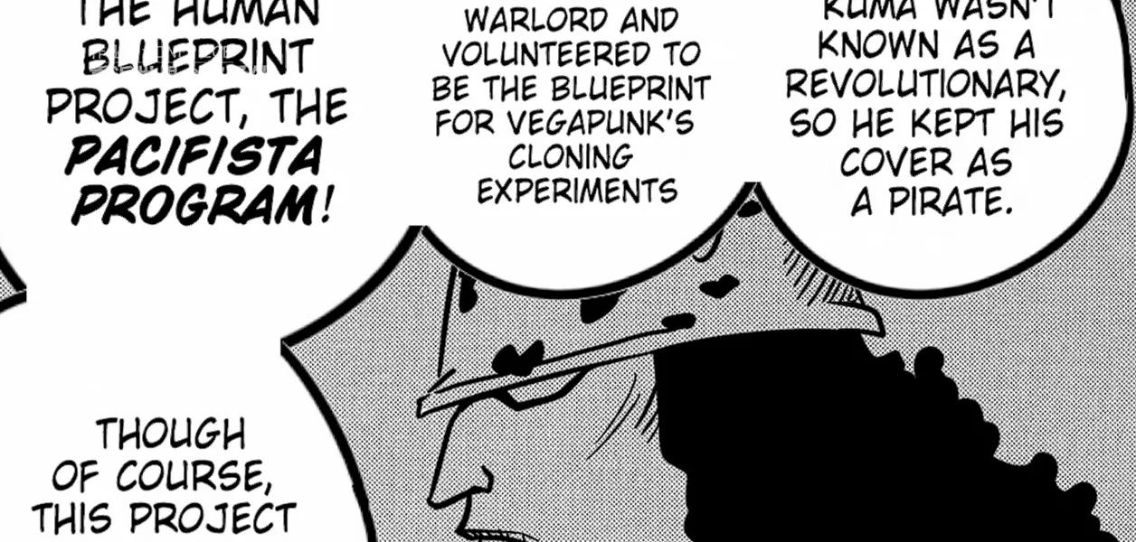 海贼王番外篇之营救暴君熊的计划