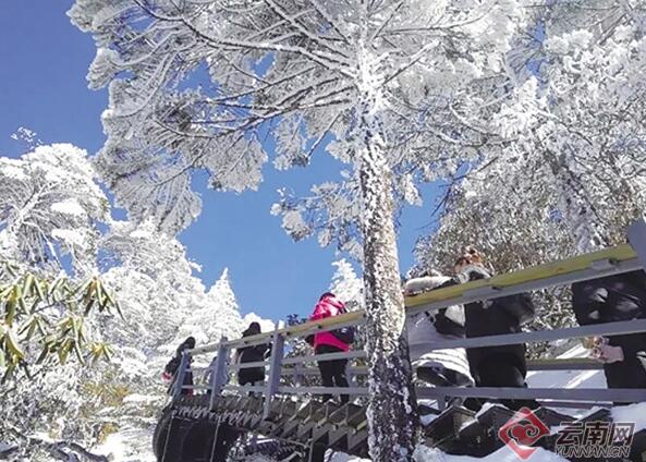 春节特色云南旅游,云南旅游云南自由行