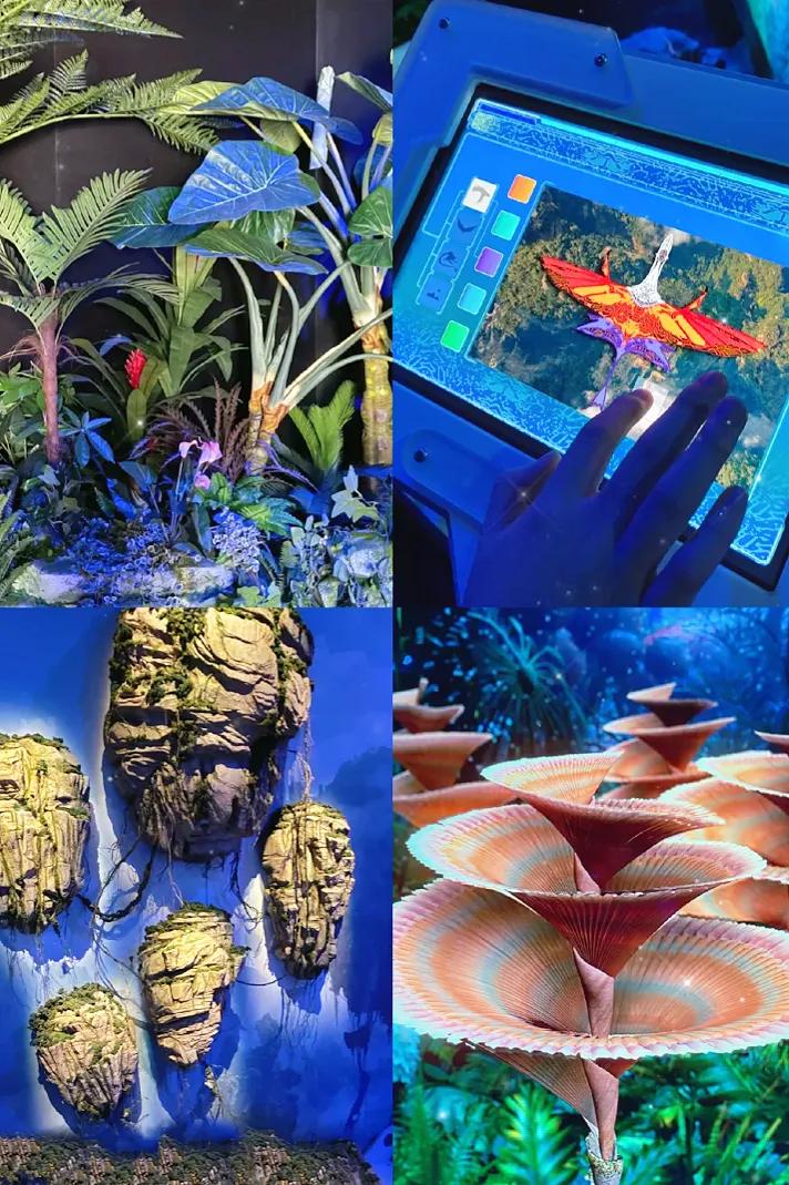 成都春节室内游玩攻略,成都玩耍攻略