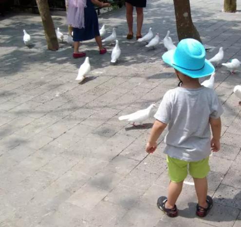 宝宝七八个月站太早容易得o型腿,7个月宝宝要走路咋办