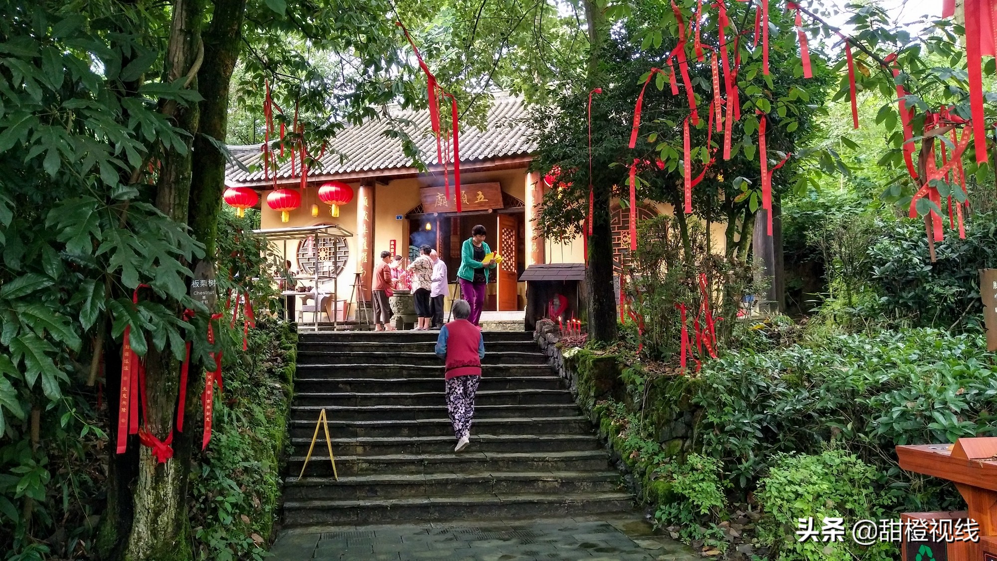 峨眉山七里坪周边有什么景点,峨眉半山七里坪网红打卡地