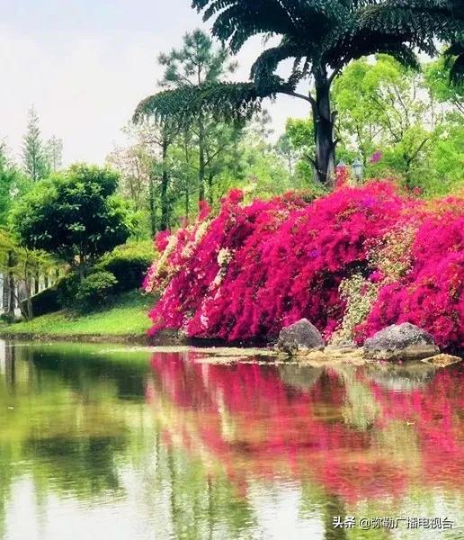 弥勒美食推荐离湖泉景区最近,弥勒五彩云池风景区