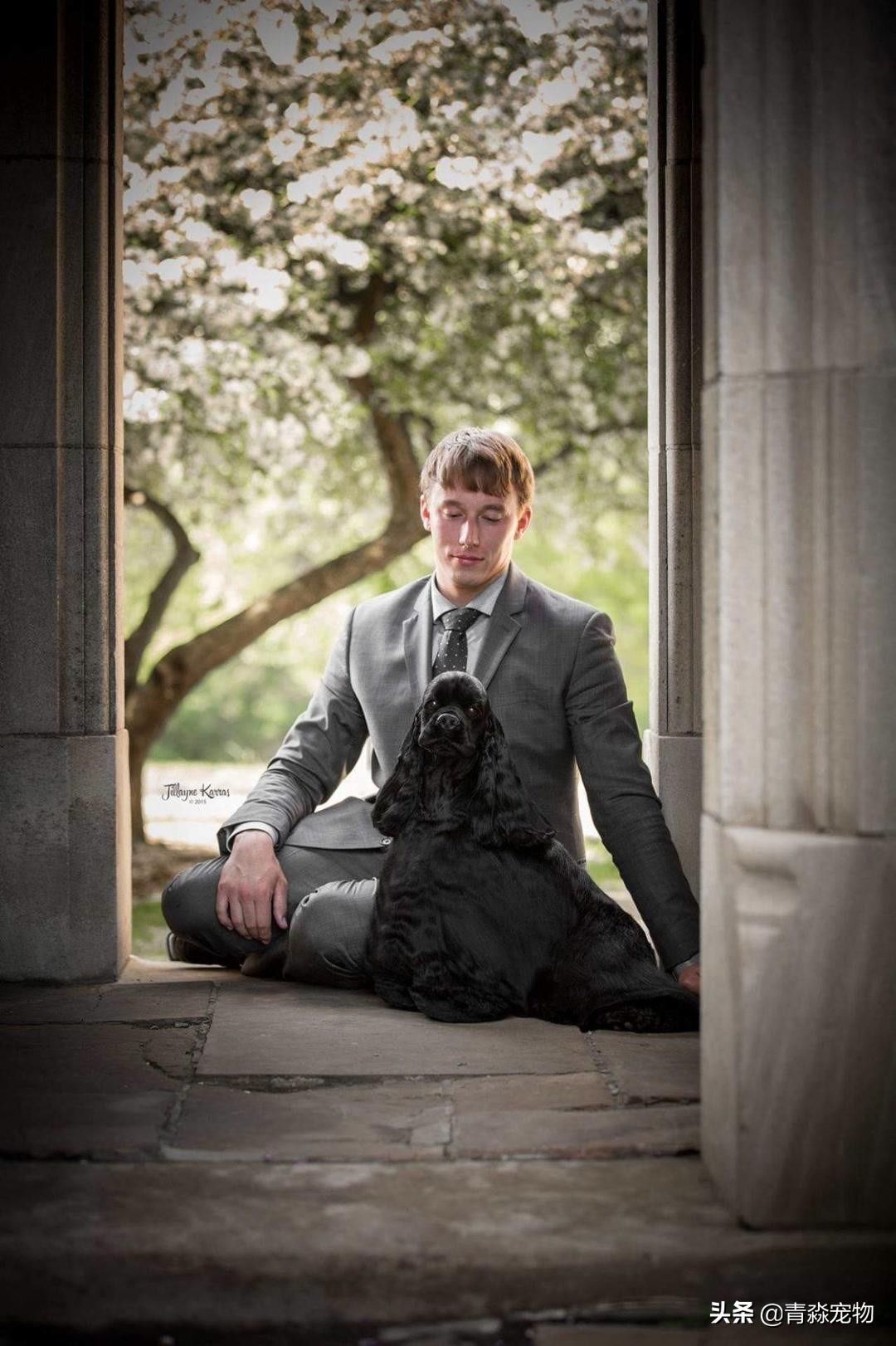 【宠物大学问】狗狗被烫伤怎么办?如何处理?