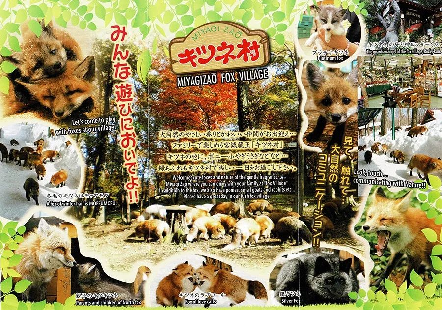 日本这只丧脸小狐狸霸占热搜，吃不到东西的委屈样萌化网友