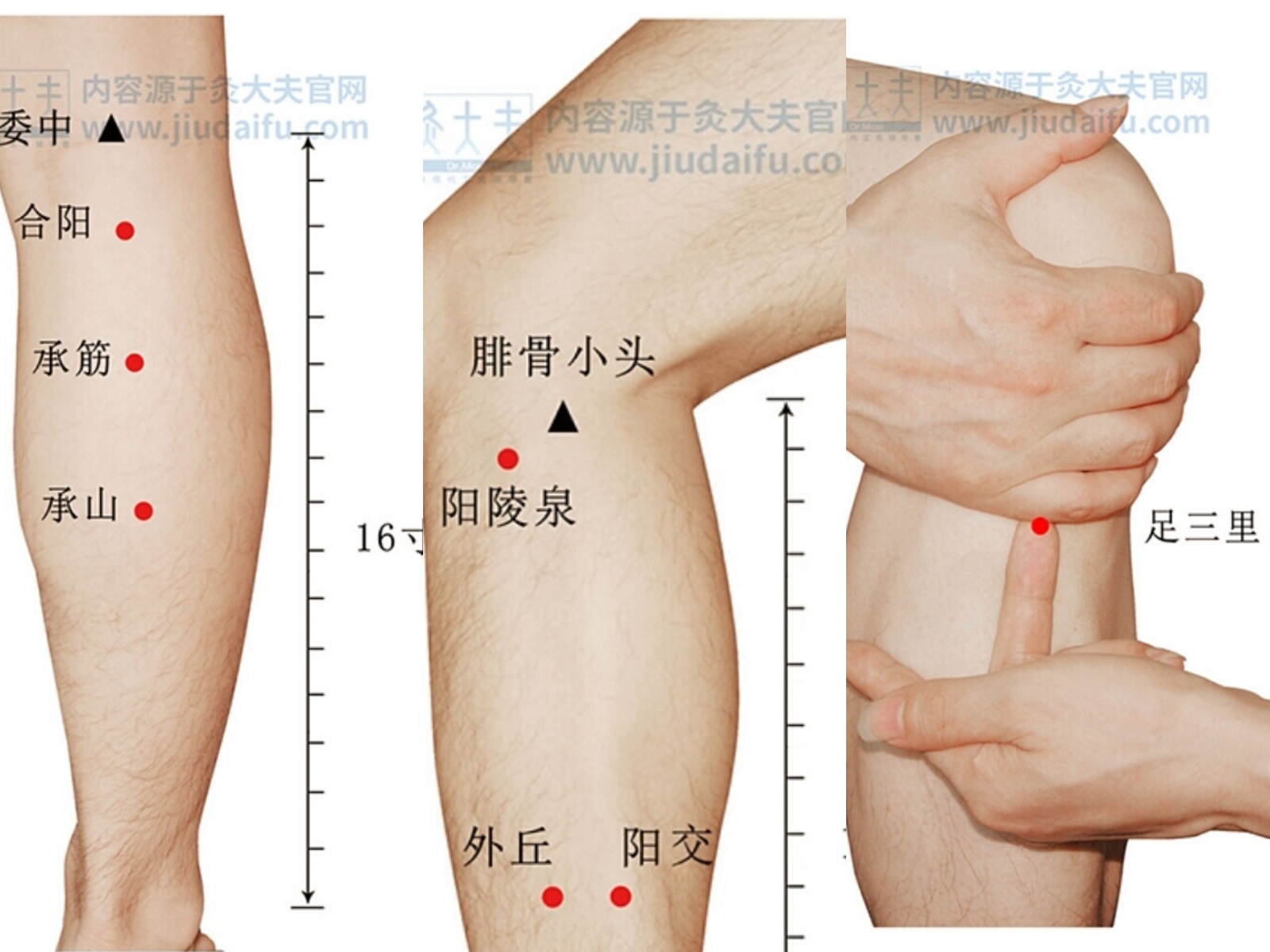 运动完小腿前侧肌肉疼是怎么回事,运动时小腿前侧肌肉酸痛怎么解决