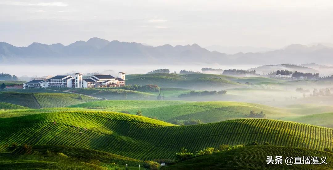 遵义十二中活动,17个娱乐项目畅玩