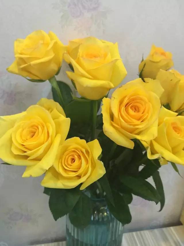 不同玫瑰的颜色代表的花语,不同颜色的玫瑰代表的花语是什么