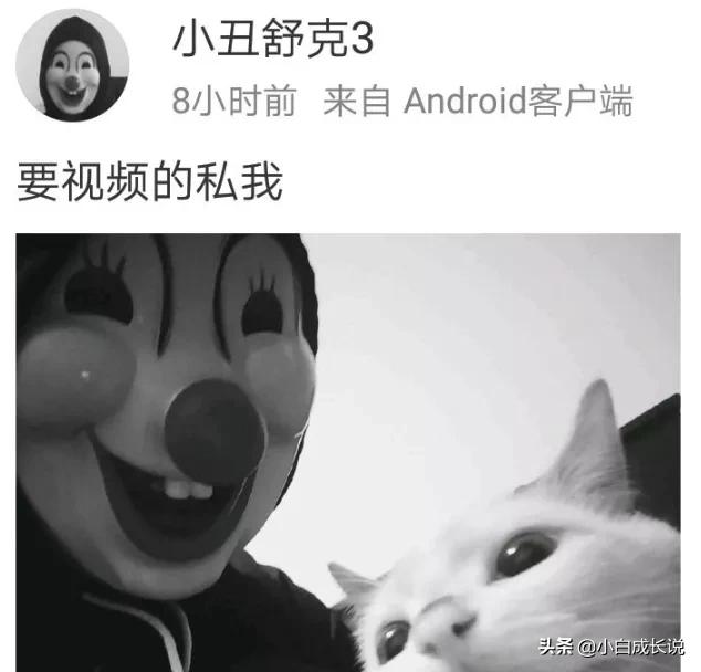 为什么虐猫会被批判,为什么现在虐猫都能上热搜