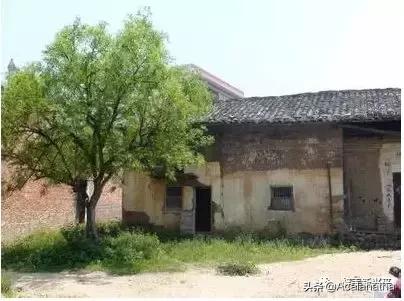 40年前兴平人的夜生活，你知道吗？