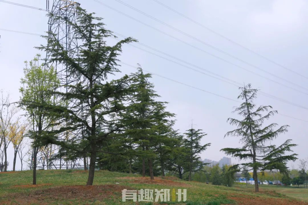 郑州周边人少清静有山有水的地方,郑州人少的公园适合野营