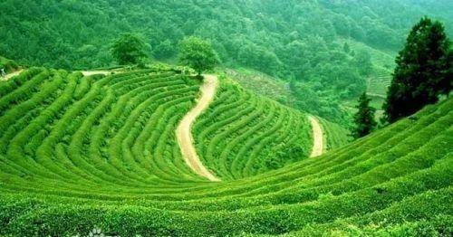 徐志顺陕西商南,徐志顺