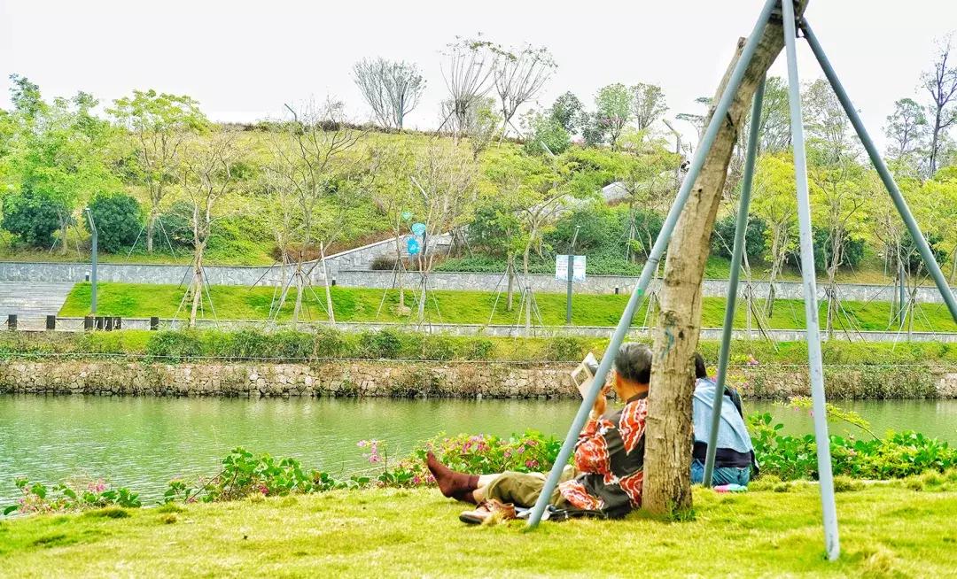 这里是前海完整视频,这里是北京粤语