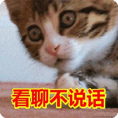 30张动图图片,会动的照片简直绝美