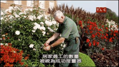 纪录片亲情,亲情纪录片