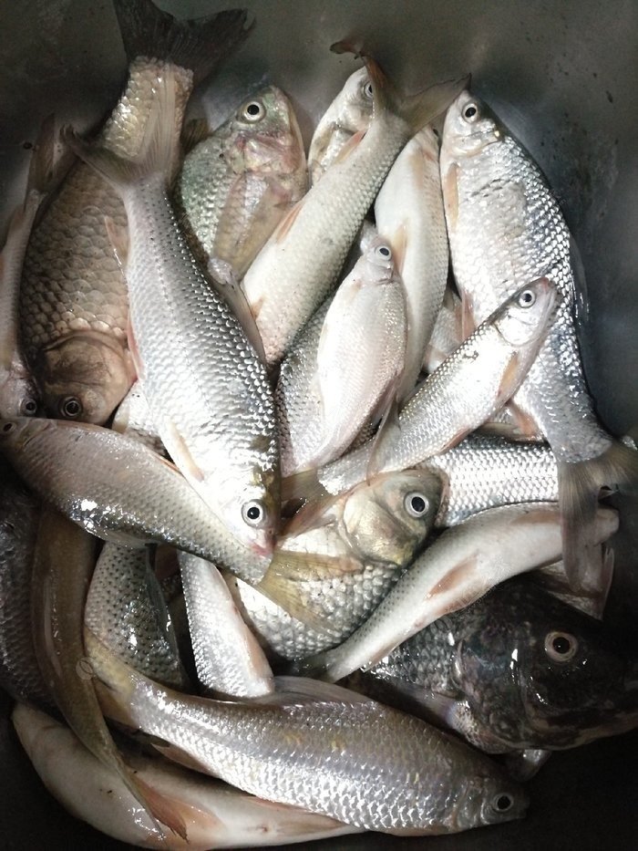 小学生眼中的人,小学生眼中的英雄人物