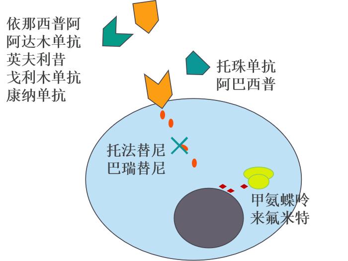 幼年特发性关节炎全身型治愈率,幼年特发性关节炎中医怎么调理