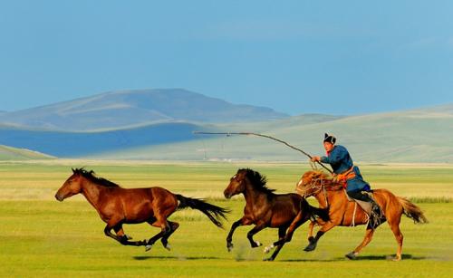 张承志黑骏马深度解析,张承志的黑骏马小说