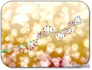 科研绘图流程模板,科研绘图教程