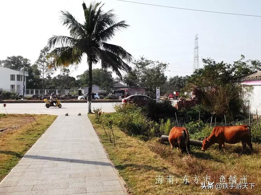 娴峰崡涓滄柟甯傞奔槌炴床姹℃煋,娴峰崡涓滄柟甯傞奔槌炴床缇庨