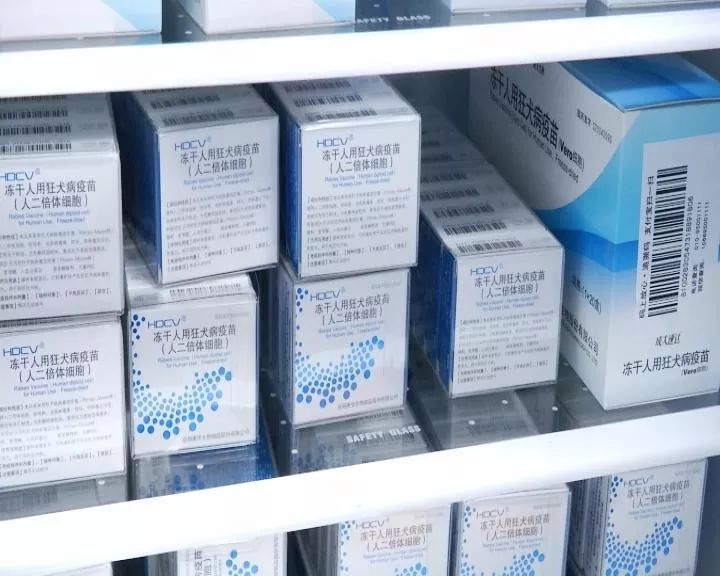 被熊咬伤要打狂犬疫苗？医生：被老鼠咬也要打