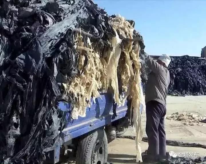 赞！金塔这件事拎得清，变废为宝“新玩法”~