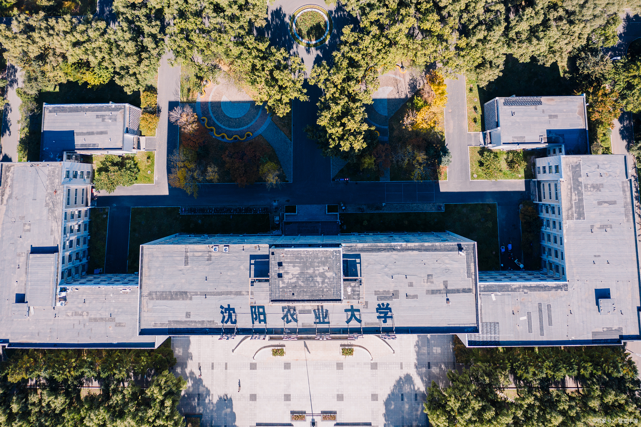 辽宁省选八所大学,辽宁文科450分左右适合报考的大学