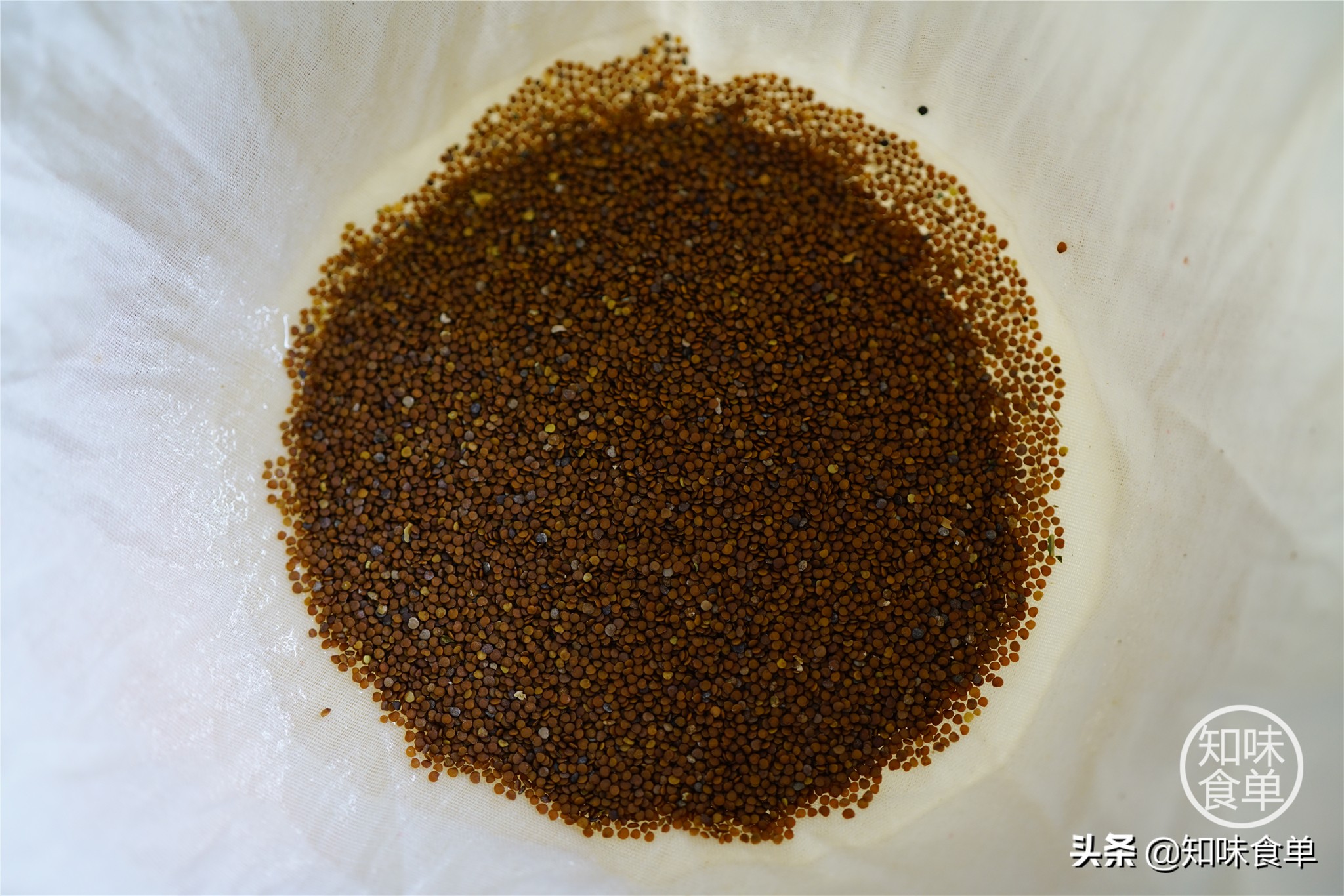 食单丨手工冰粉制作丨最全冰粉制作指南，天然*物冰植**粉大比拼