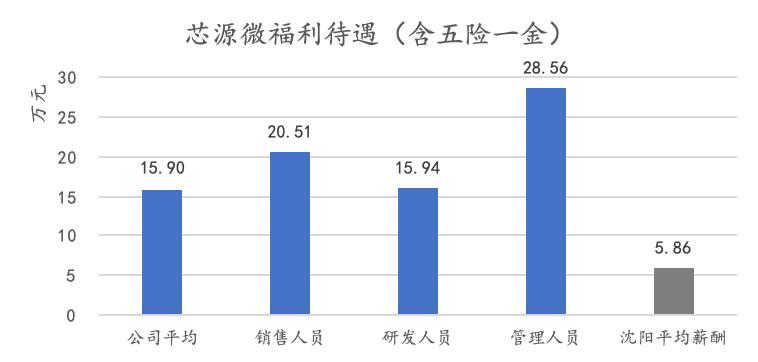 芯源微国产替代空间,芯源微有新质生产力吗