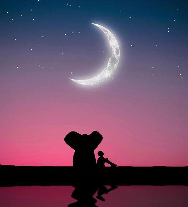 薛之谦内心独白你还要我怎样,薛之谦的你还要我怎样