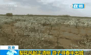 忆清明祖辈给我们留下了什么?