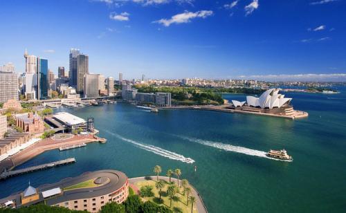 停靠船只码头,洋渡码头的船