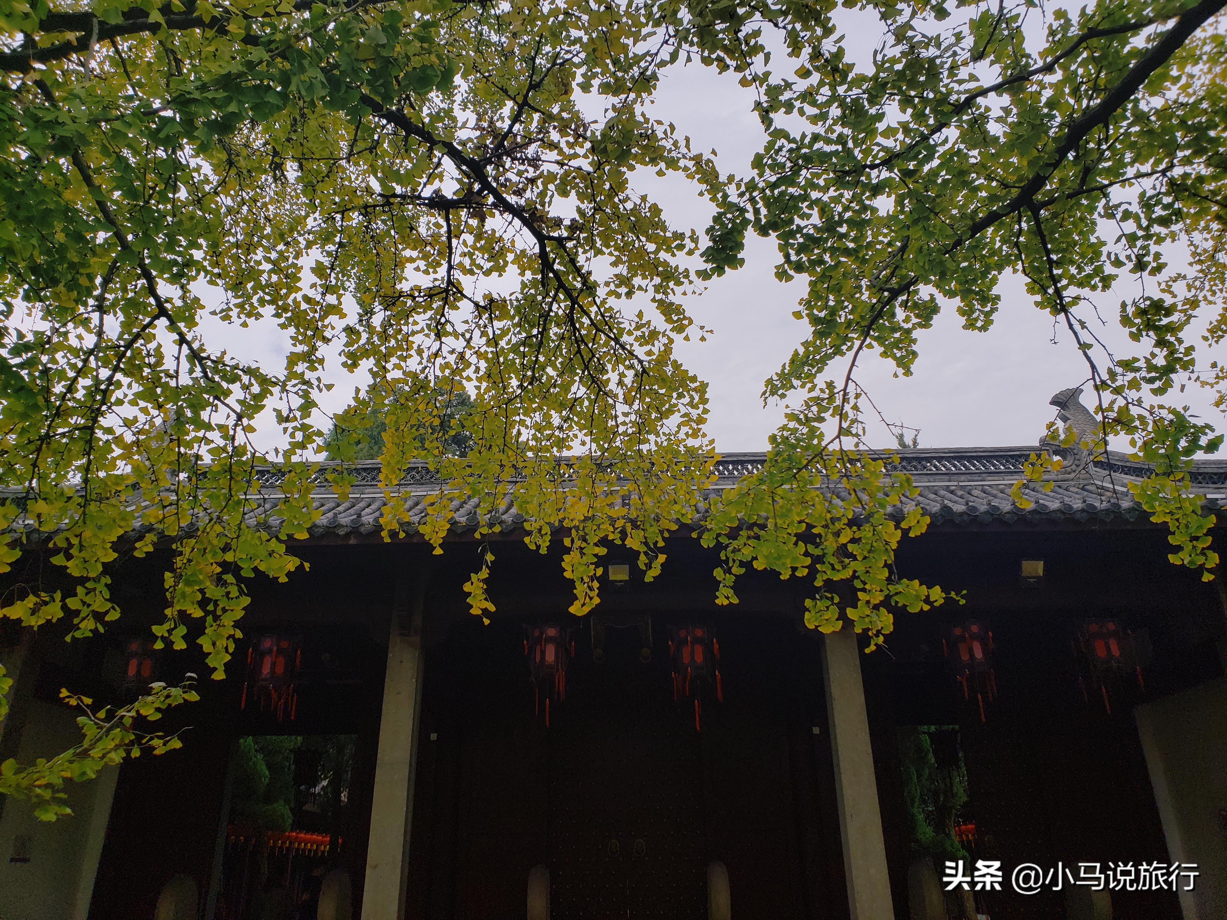 全国规模最大的孔庙曲阜孔庙,浙江最大的孔庙在哪里