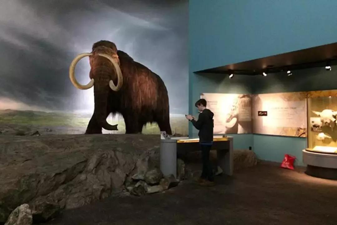 维多利亚国际排行,维多利亚城市风光