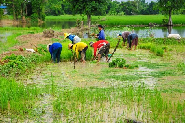 <html>
<head><title>502BadGateway</title></head>
<body>
<center><h1>502BadGateway</h1></center>
<hr><center>nginx</center>
</body>
</html>
<!--apaddingtodisableMSIEandChromefriendlyerrorpage-->
<!--apaddingtodisableMSIEandChromefriendlyerrorpage-->
<!--apaddingtodisableMSIEandChromefriendlyerrorpage-->
<!--apaddingtodisableMSIEandChromefriendlyerrorpage-->
<!--apaddingtodisableMSIEandChromefriendlyerrorpage-->
<!--apaddingtodisableMSIEandChromefriendlyerrorpage-->
