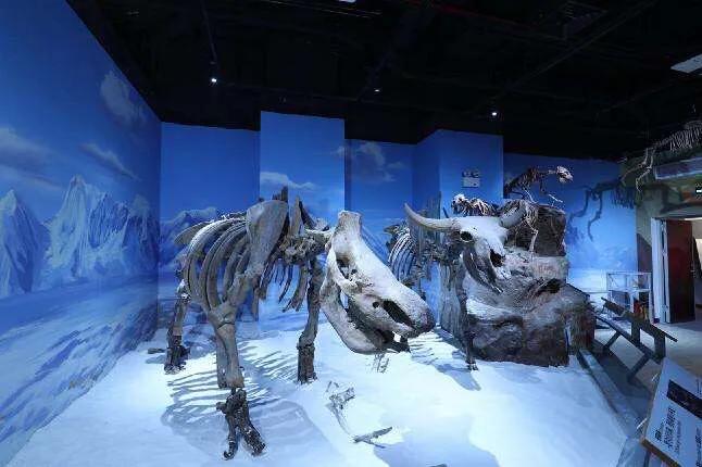 广州一号地铁沿线游玩,广州三号地铁沿线有啥好玩地方