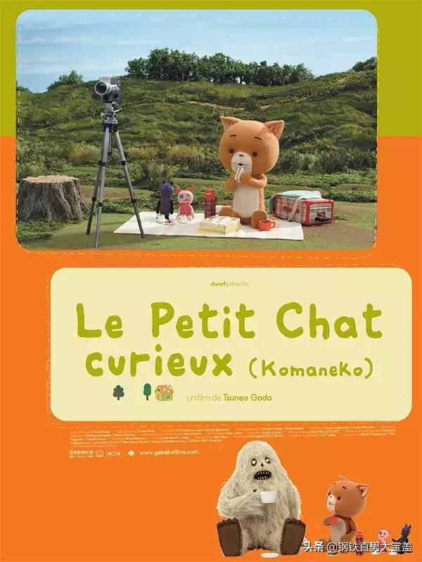 铲屎官的收藏,铲屎官不容错过的宠物清单