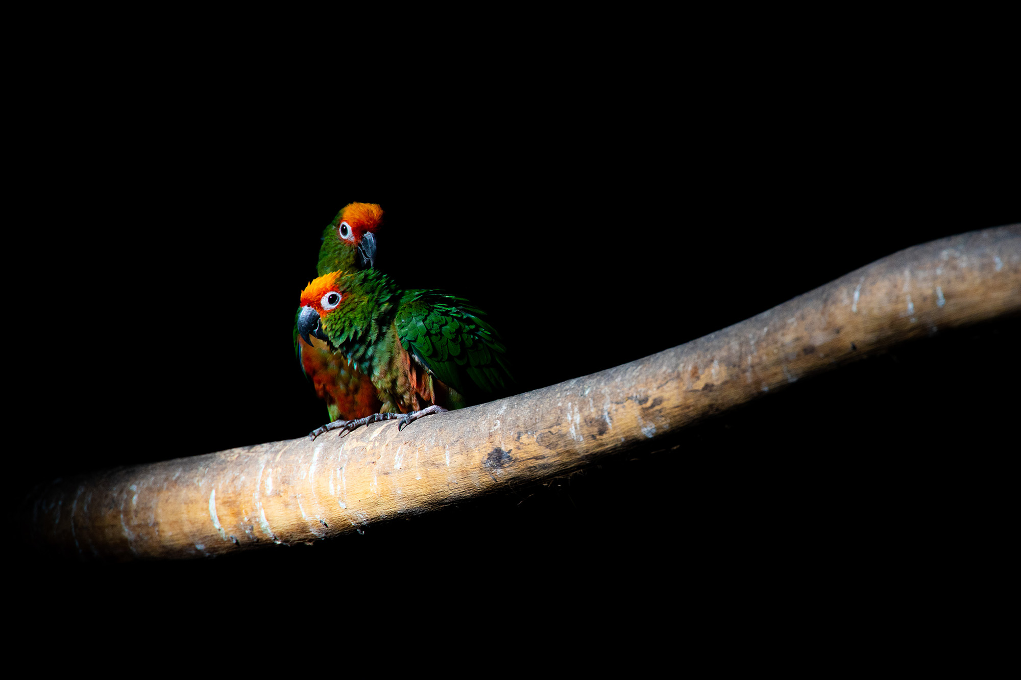 佳能ef24mmfm2.8广角镜头测评,佳能rf24-240镜头缺点