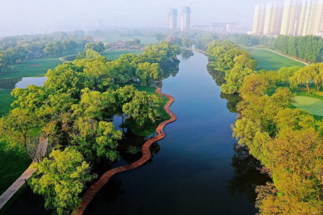 主动担当作为全面打赢创城攻坚战,精准施策靶向发力创城