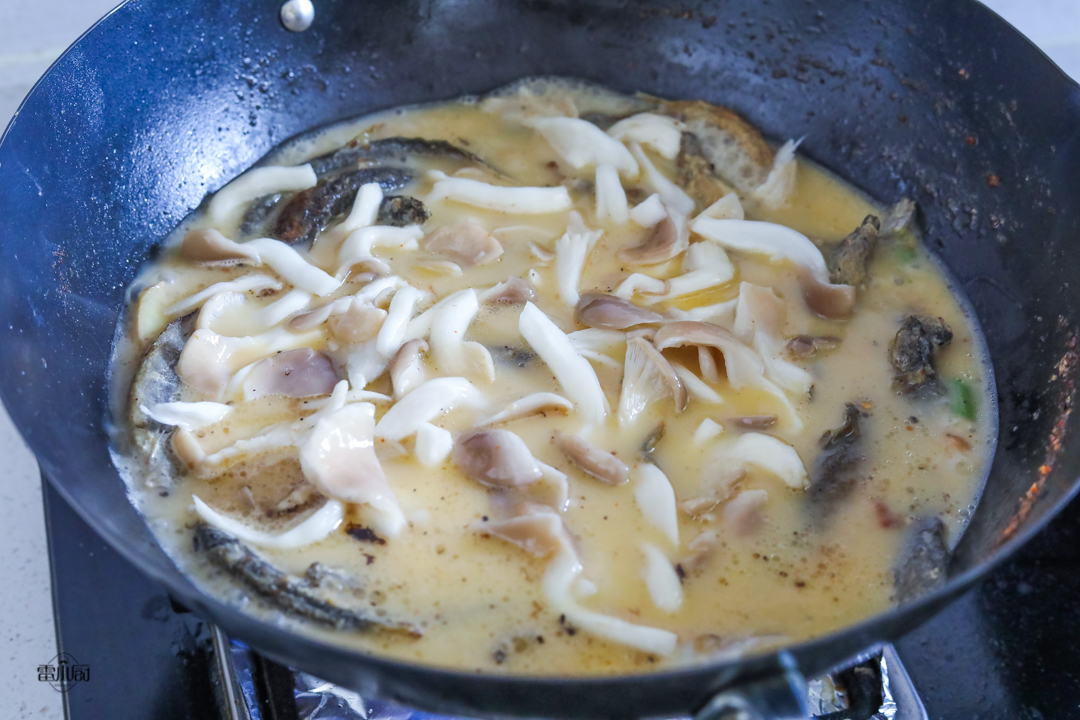 这个季节鱼爱吃什么味,这个季节的鱼