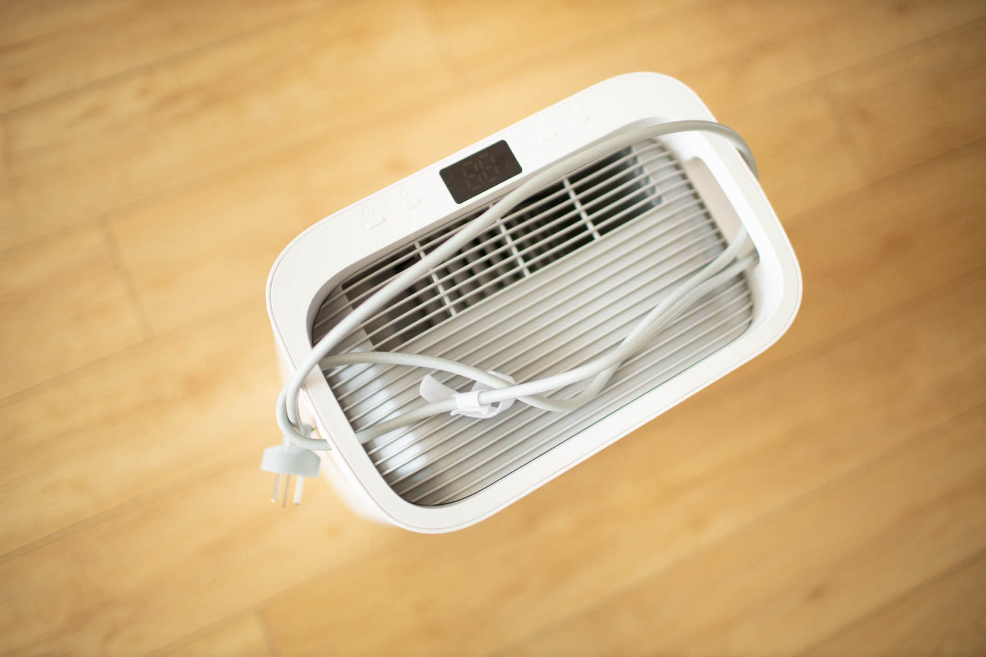 抵御南方湿冷的魔法攻击,小而强悍的伊岛*湿机除**