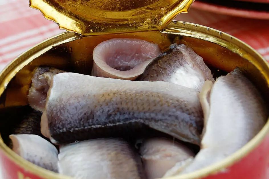 椋熺勃鑰呬笉鍏ヤ镜,椋熶箣鏃犺嚟寮冧箣鍙儨