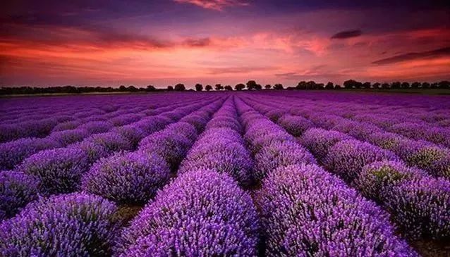 朗诵感恩有你的背景音乐,朗诵感恩有你背景视频