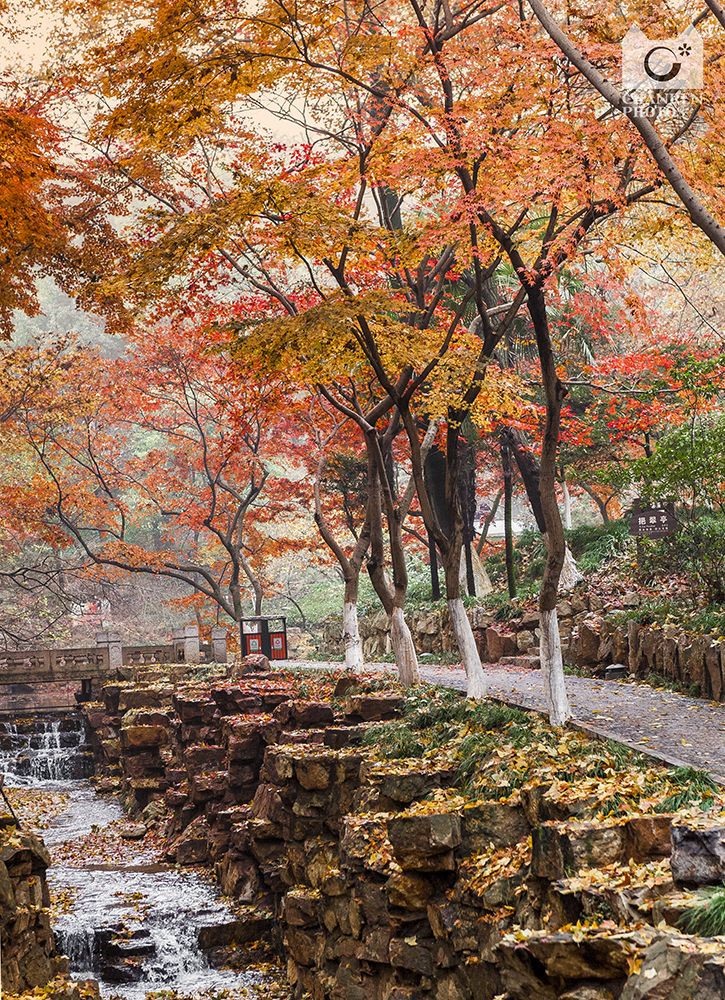 常熟：体验慢生活从一碗面开始你的假期