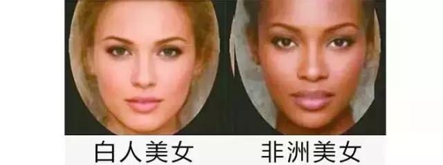中国标准美女的脸型,美女的标准脸分布图