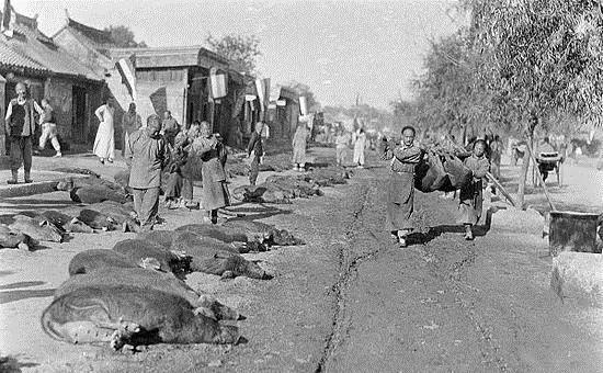 名说北京第二十二期|己亥年来看跟猪有关的胡同