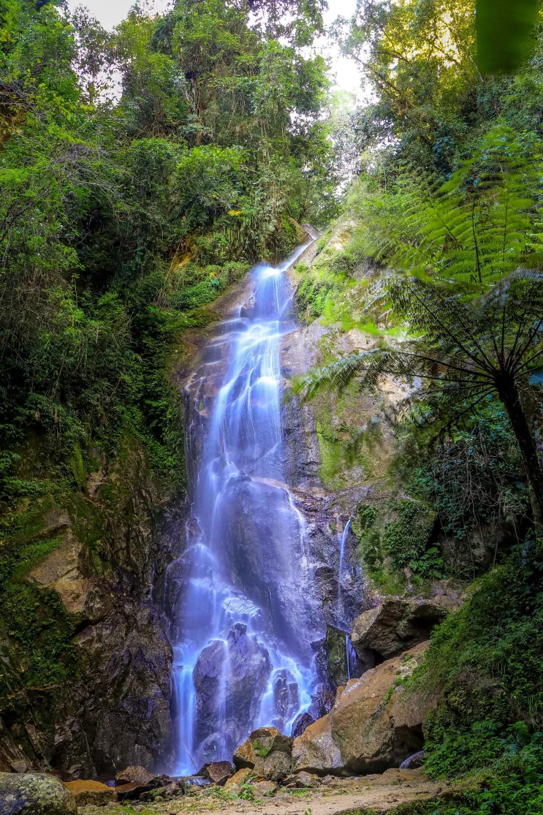 慢游腾冲樱花谷，把冬天过得浪漫一点